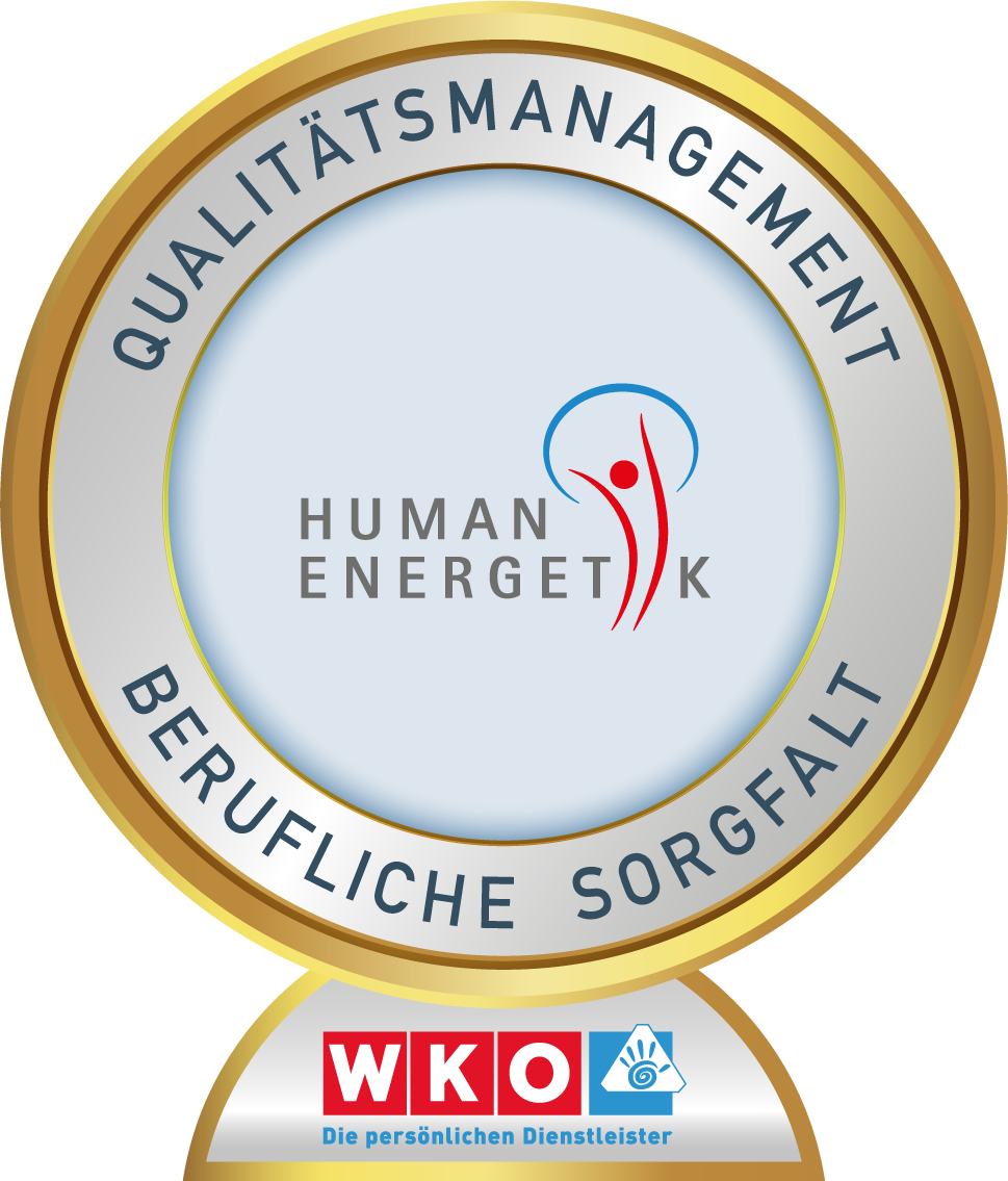 Logo WKO Qualitätsmanagement Berufliche Sorgfalt